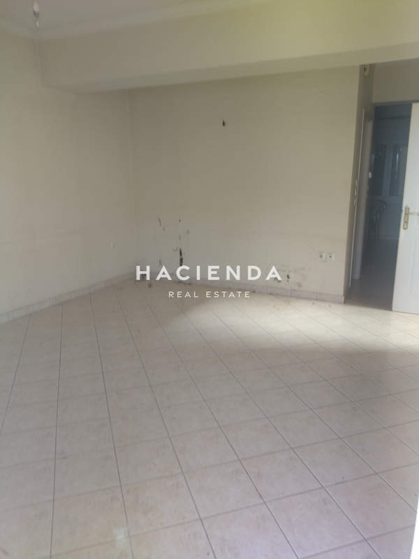 תמונת טריפולי, פלופונס למכירה