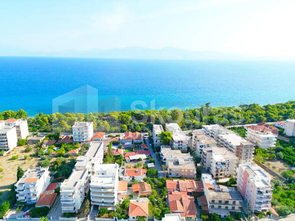 תמונת קסילוקסטרו ואברוסטינה למכירה (0)