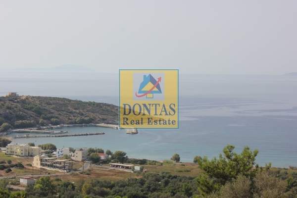 תמונת חיוס למכירה (1)