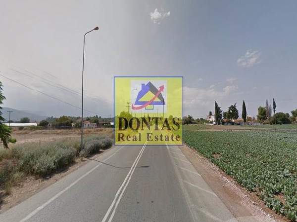 תמונת אורופוס, אתונה למכירה