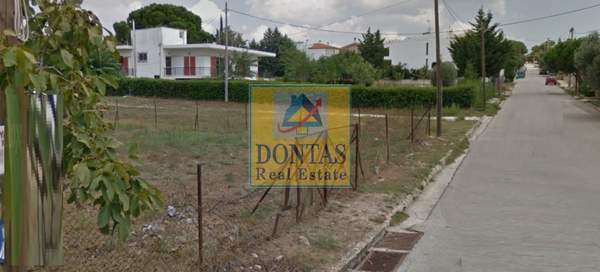 תמונת דיוניסוס למכירה (1)