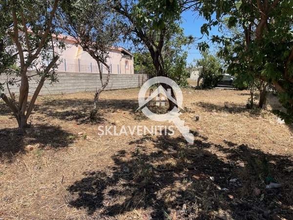 תמונת ספטה ארטמידה למכירה (1)