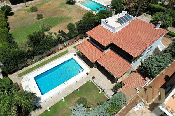 תמונת סרוניקוס, אתונה למכירה (0)