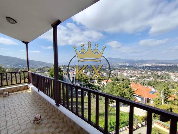 תמונת דיוניסוס למכירה (0)