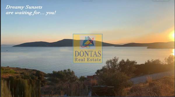 תמונת קאריסטוס למכירה (0)