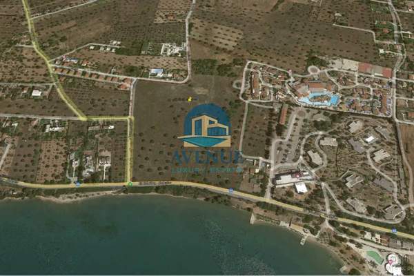 תמונת ארטריה למכירה