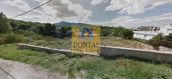 תמונת דיוניסוס למכירה (1)