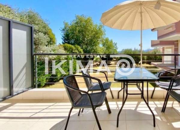 תמונת וולווי, סלוניקי למכירה (0)