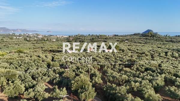 תמונת רשות מקומית זקינתוס למכירה (1)