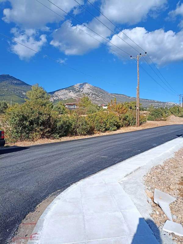 תמונת אכרניס למכירה (0)