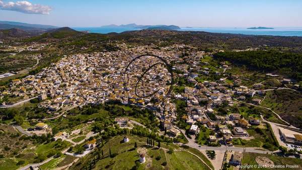 תמונת ארמיונידה למכירה