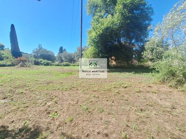 תמונת קורפו למכירה (0)