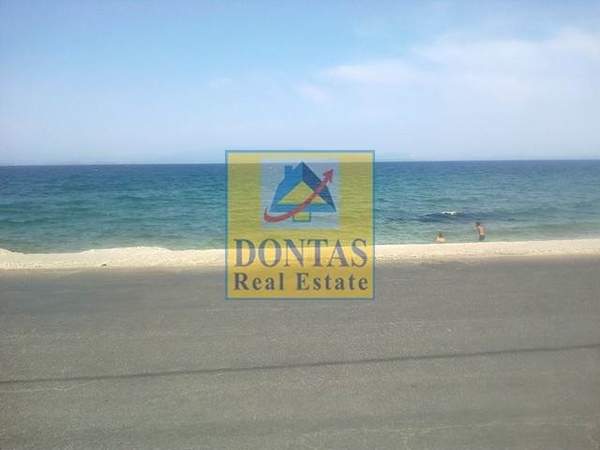 תמונת רשות מקומית חיוס למכירה (1)