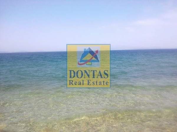 תמונת רשות מקומית חיוס למכירה (0)