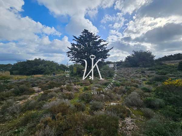 תמונת רודוס למכירה