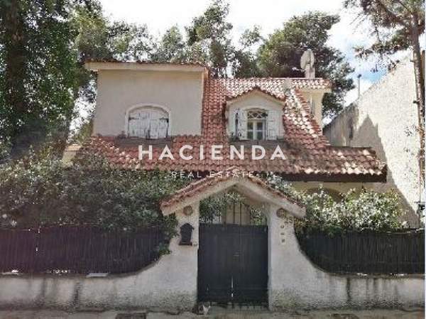 תמונת דיוניסוס, אתונה למכירה (1)