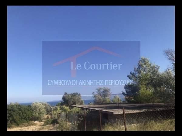 תמונת אמרינתוס, ארטריה למכירה (0)