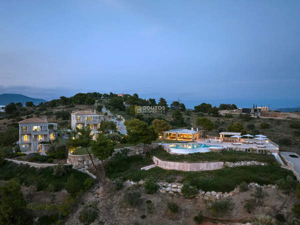 תמונת ארמיונידה, פלופונס למכירה (1)