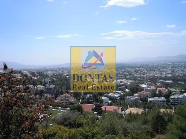 תמונת נאה אריטאריה, קיפיסיה למכירה (1)