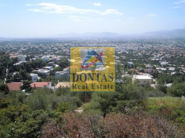 תמונת נאה אריטאריה, קיפיסיה למכירה (0)