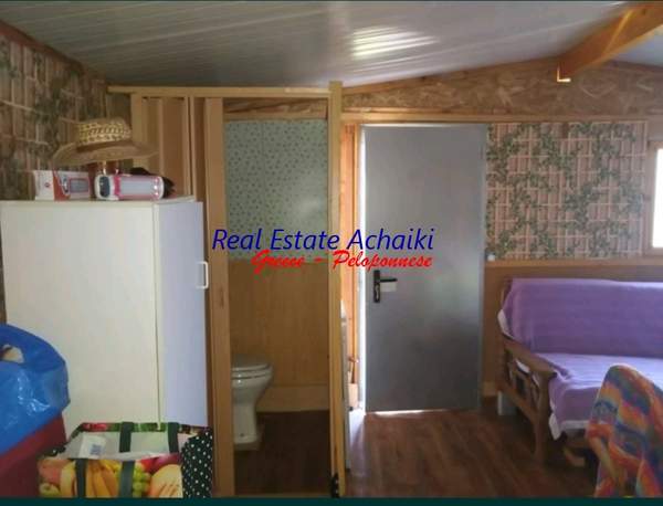 תמונת איגאליאה, פלופונס למכירה