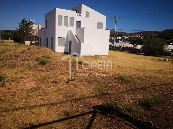 תמונת פאליה פוקיאה, סרוניקוס, אתונה למכירה (0)