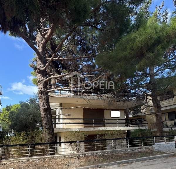 תמונת סרוניקוס, אתונה למכירה (0)