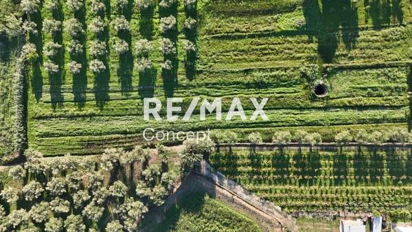 תמונת זקינתוס למכירה (1)