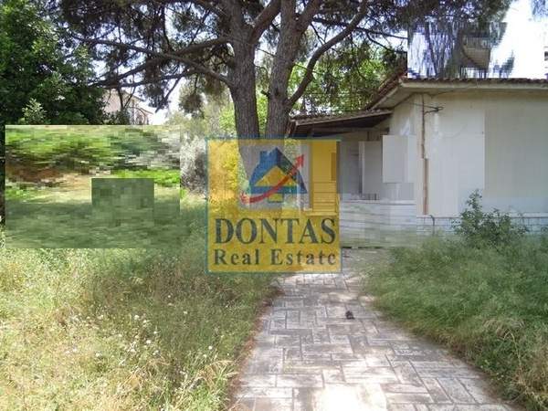 תמונת קיפיסיה, אתונה למכירה