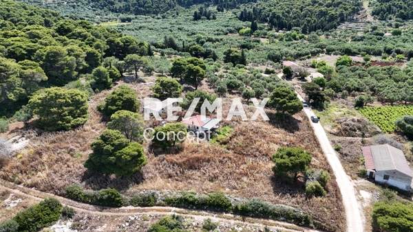 תמונת זקינתוס למכירה (0)