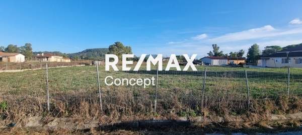 תמונת זקינתוס למכירה (0)