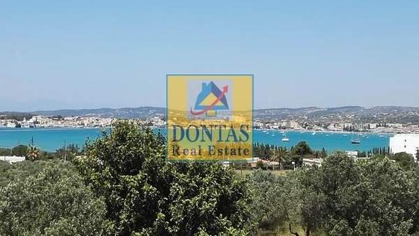 תמונת ארמיונידה, פלופונס למכירה