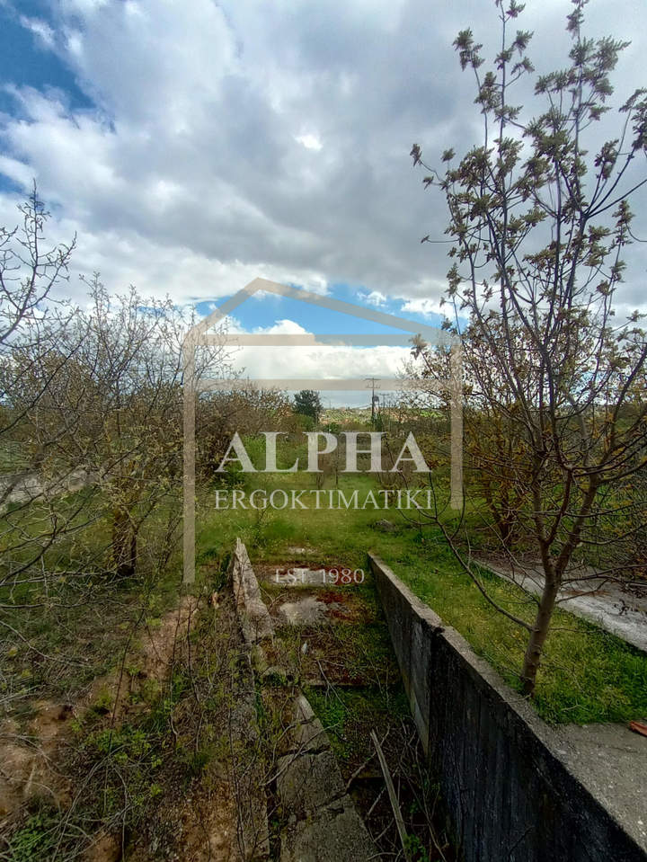 Agia Triada, Thermaikos, Thessaloniki for sale