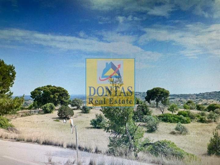 Ermionida, Peloponnese for sale
