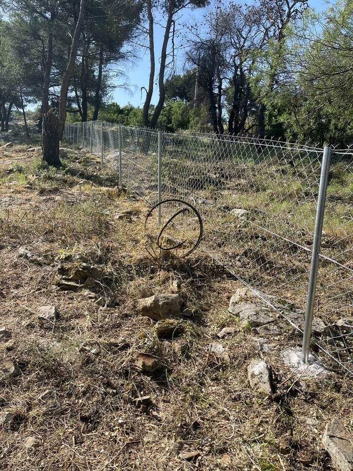 תמונת דיוניסוס, אתונה למכירה