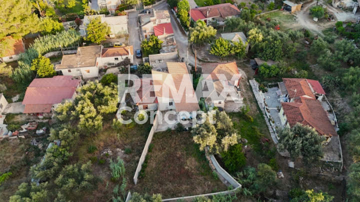 תמונת זקינתוס למכירה