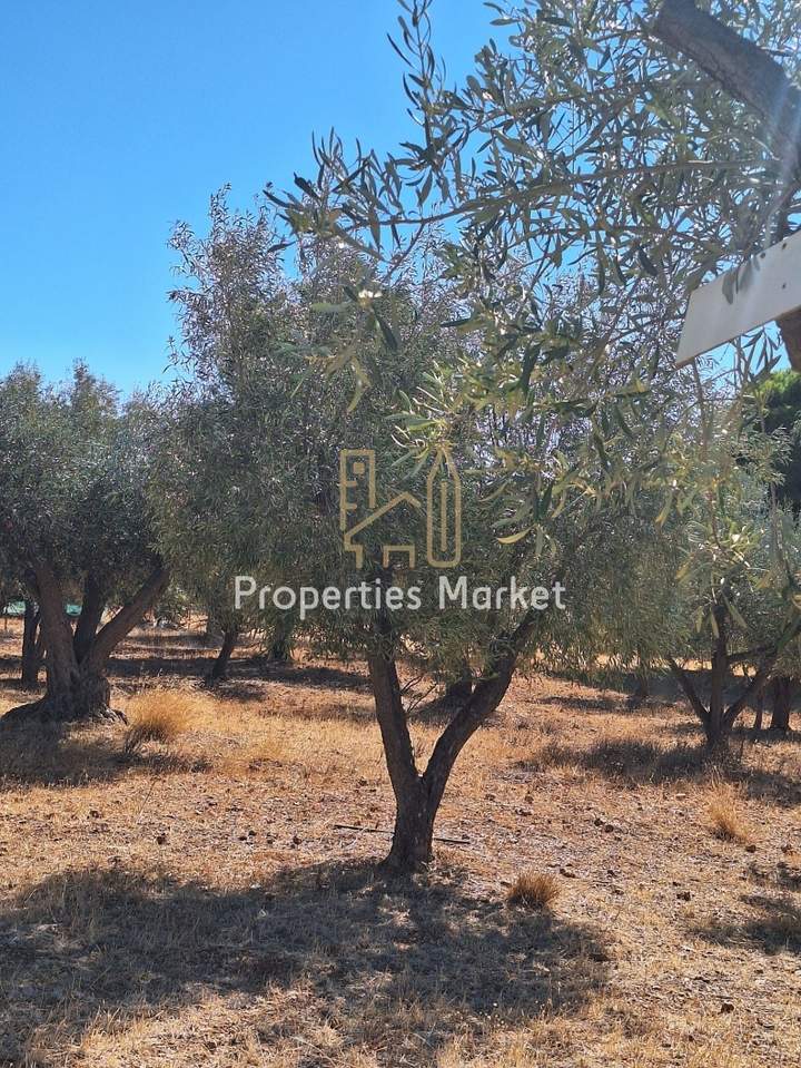 Anavyssos, Saronikos, Athens for sale