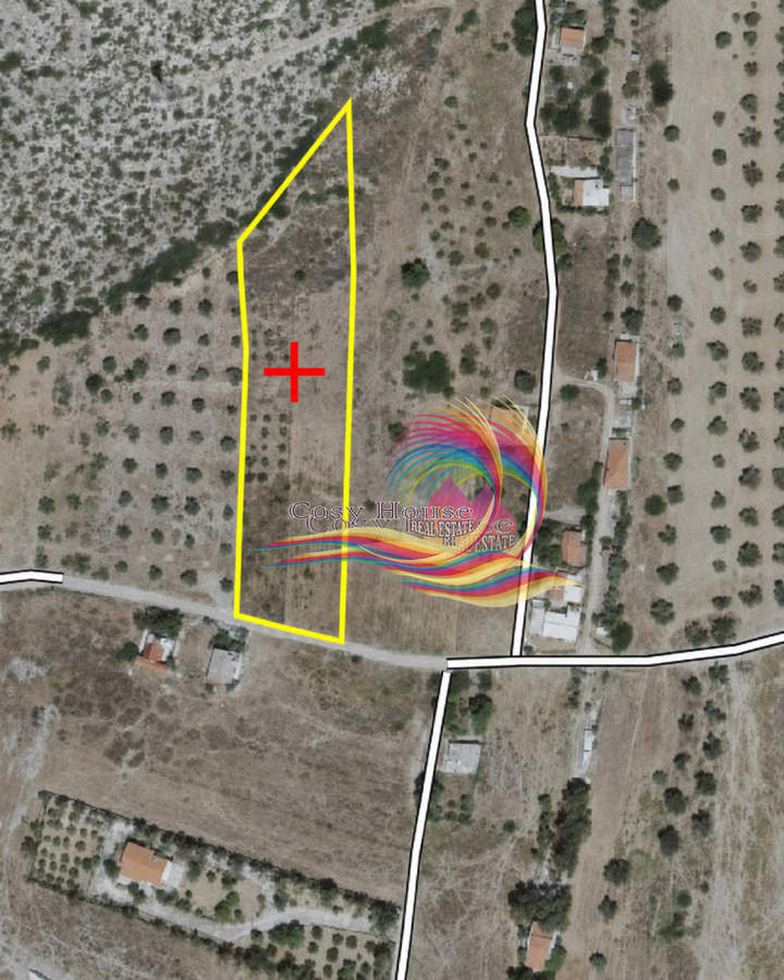 תמונת לאבראוטיקי, אתונה למכירה