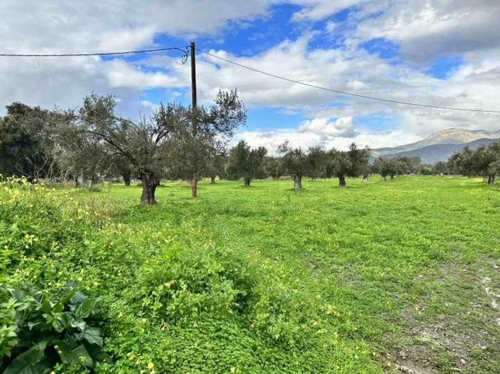 Festos, Crete for sale