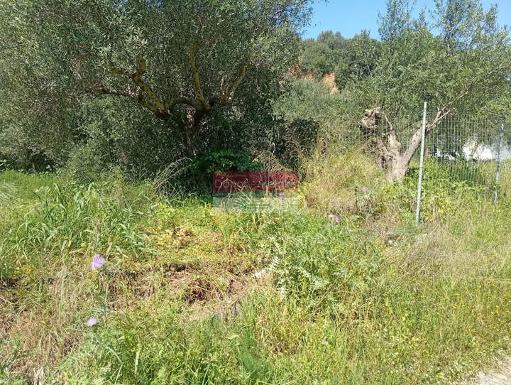 Platanias, Crete for sale