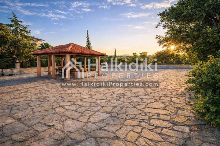תמונת סיתוניה, כלקידיקי למכירה