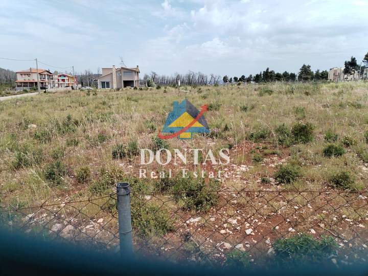 Oropos, Athens for sale