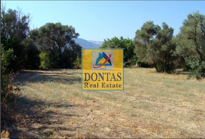 Chios for sale