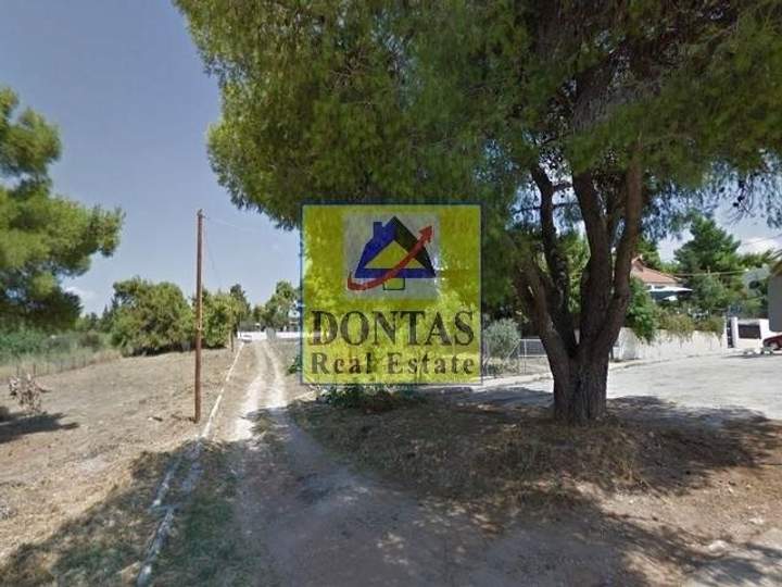 תמונת מליסייה, אתונה למכירה