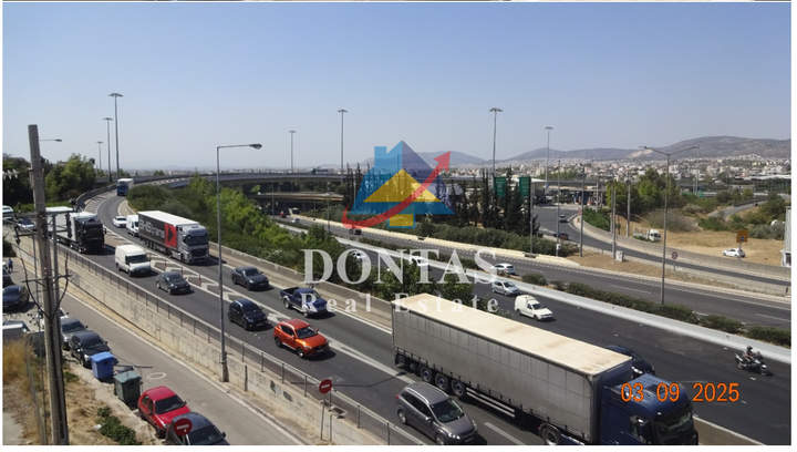 תמונת מטמורפוסי, אתונה למכירה