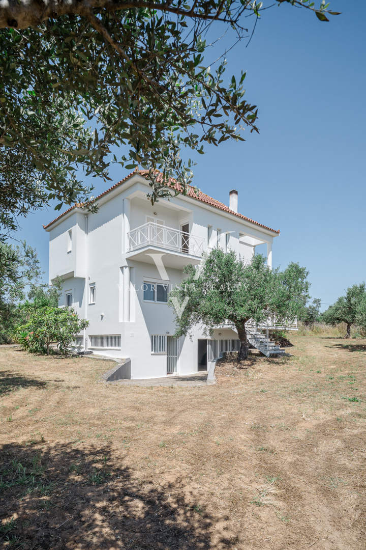 Kalamata, Peloponnese for sale