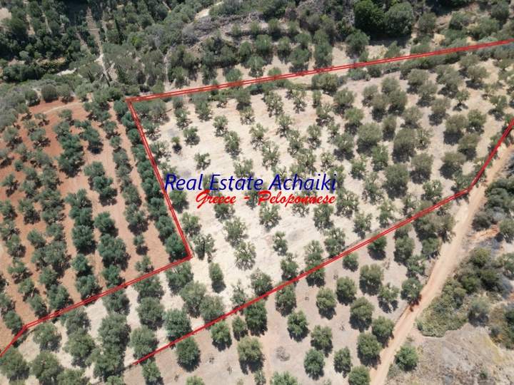 Aigialeia, Peloponnese for sale
