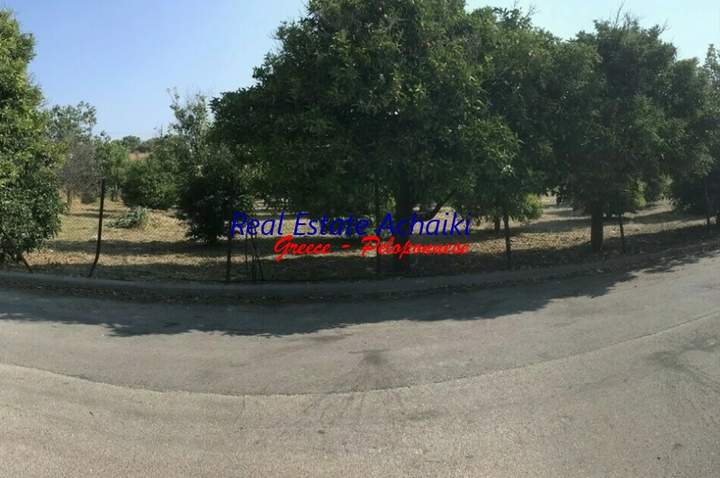 תמונת איגאליאה, פלופונס למכירה