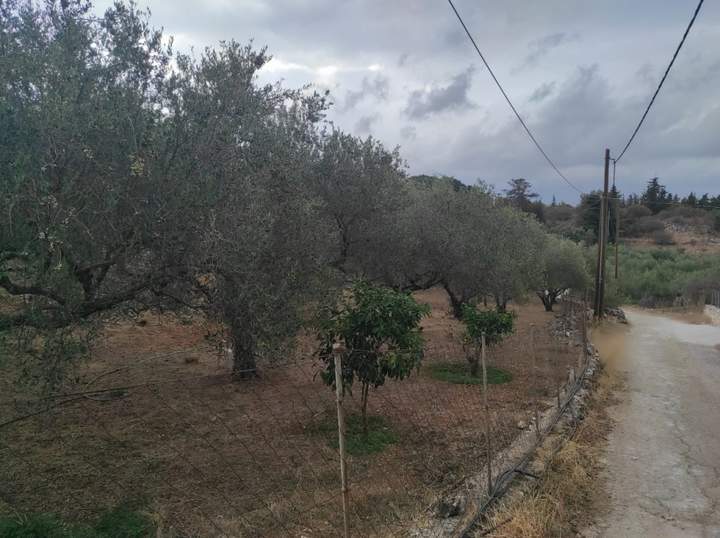Apokoronas, Crete for sale