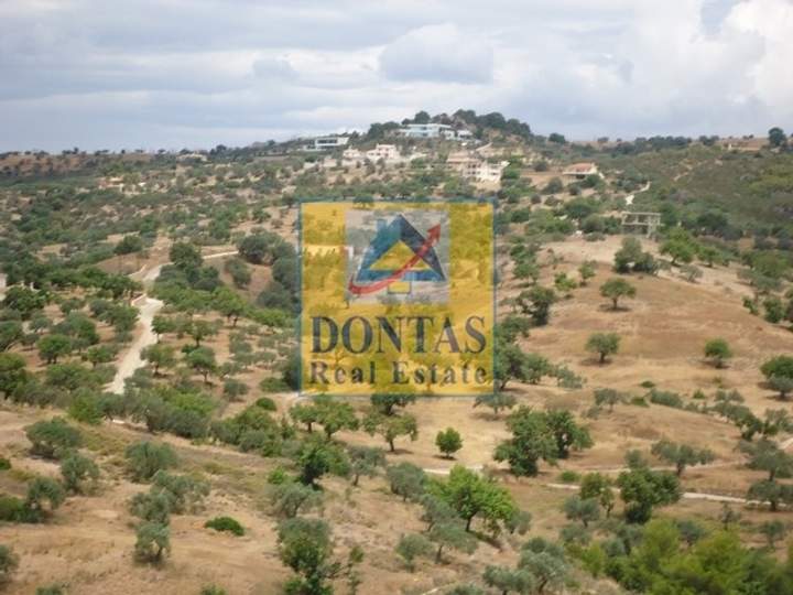 Ermionida, Peloponnese for sale